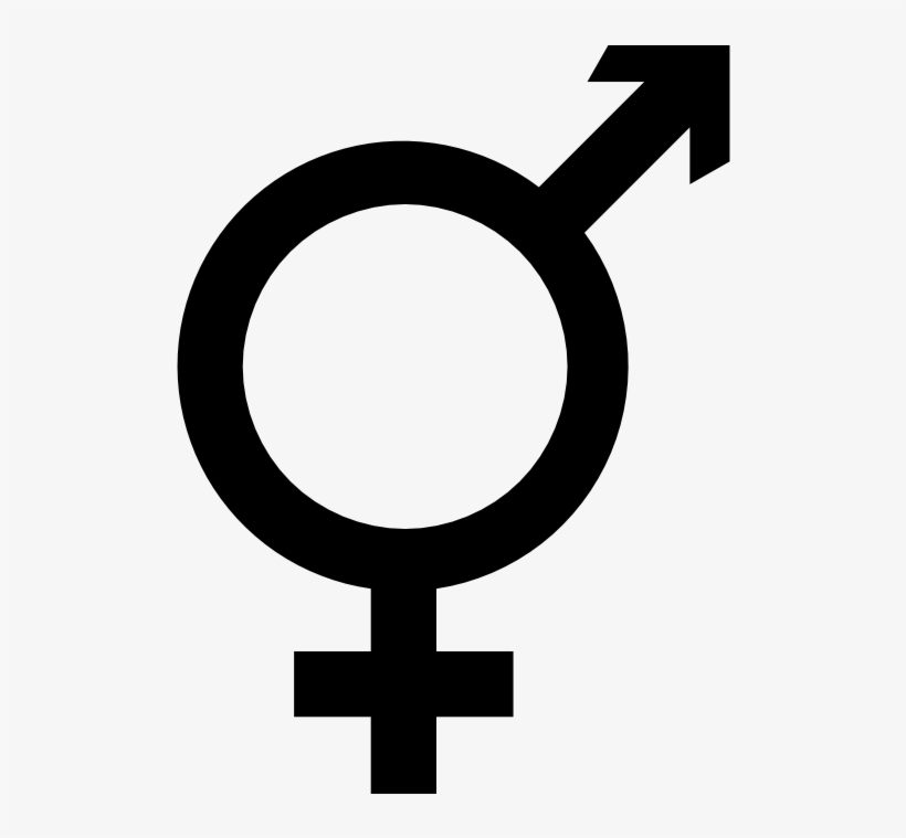 Are Geek Feminists More Accepting Of Trans Women - Transwoman Icon, transparent png #999550