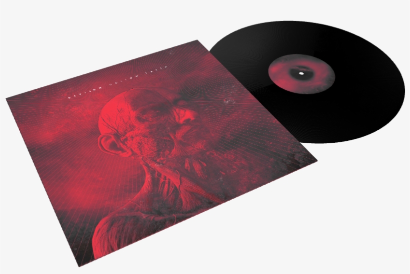 Vinyl Reissue Out Now - Circle, transparent png #999727