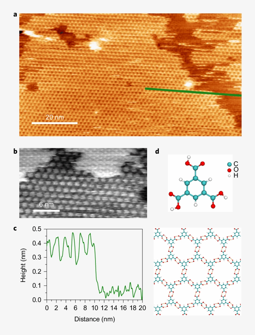 Heterostructures Of Cam And Tma - Colorfulness, transparent png #999821