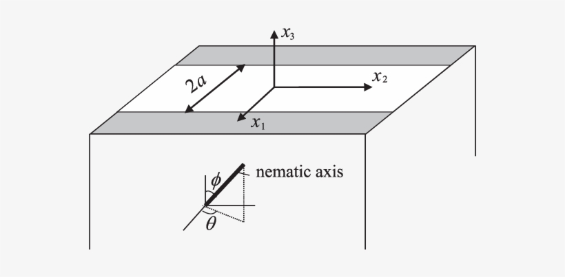 Sketch Of The Nematic Elastomer Under Striped Illumination - Diagram, transparent png #999893