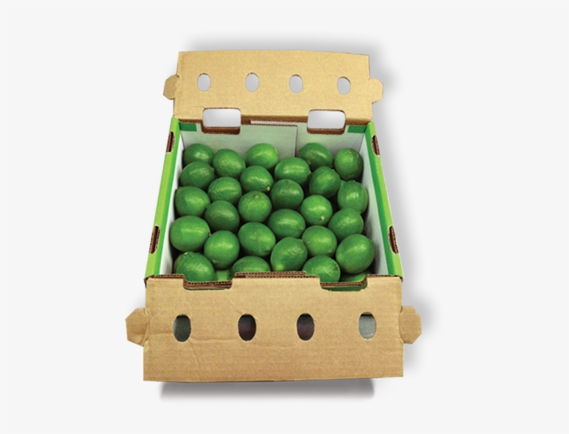 Limes - Pony Box - Limes In Boxes, transparent png #999957