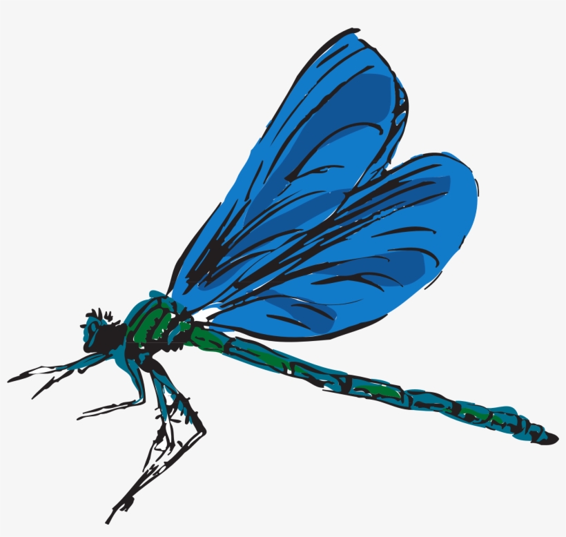 Dragonfly Flying Wings Insect - Dragonfly Clipart Gif, transparent png #9901029