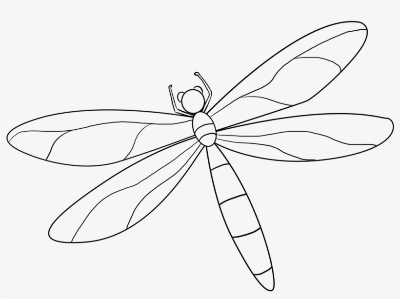 Dragonfly Drawing Basic - Dragonfly, transparent png #9901079