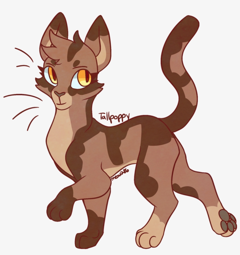 Tallpoppy - Warrior Cats Tallpoppy, transparent png #9902107