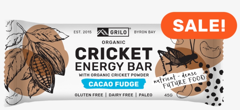 Organic Cricket Energy Bar - Crickets Bars, transparent png #9902205