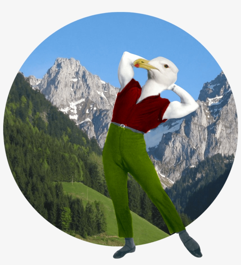 Birdman - Sveicarijos Vaizdai, transparent png #9902393