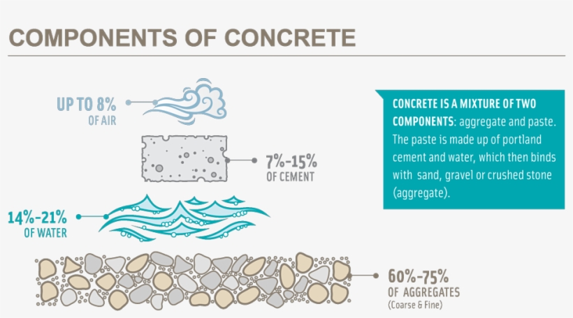 Kevin Dimond Liked This - Animal, transparent png #9903119