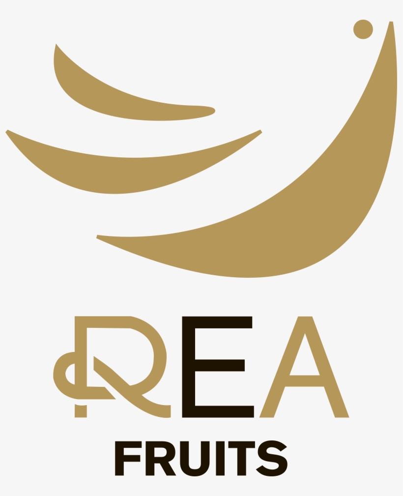 Clip Art, transparent png #9903524