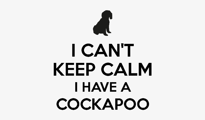 I Cant Keep Calm I Have A Cockapoo - Funny Cockapoo, transparent png #9904316