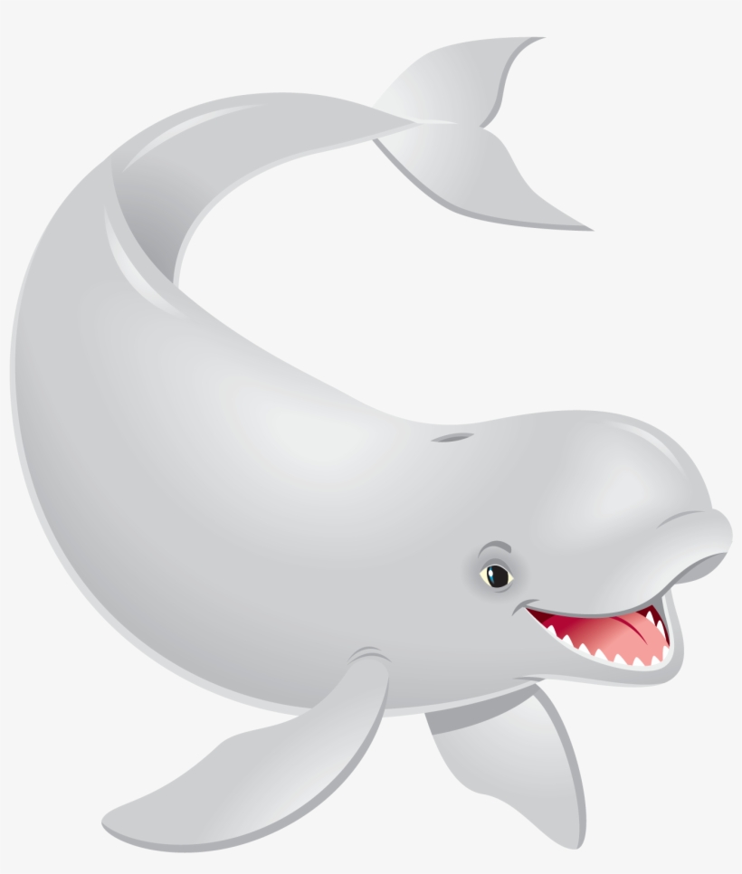 Beluga Whale - Wholphin, transparent png #9905173