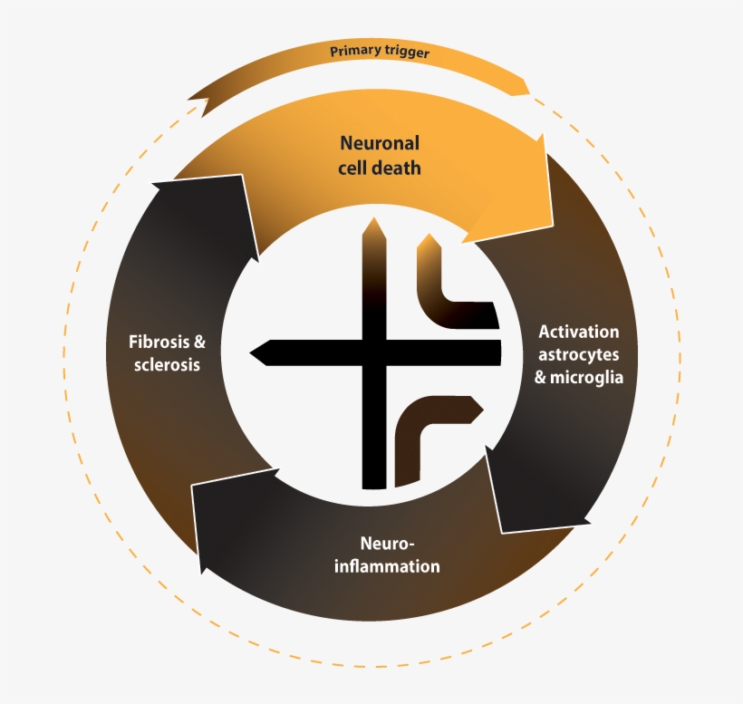 Cerebro's Approach - Circle, transparent png #9910126