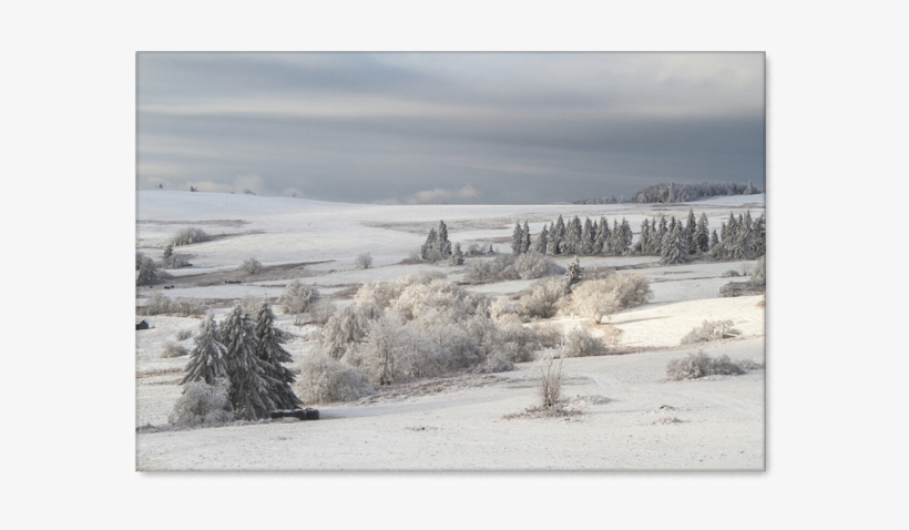 Snow, transparent png #9910712