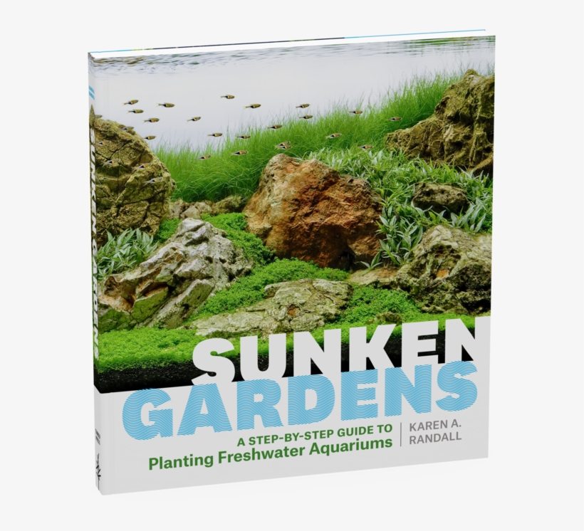 Sunken Gardens, A Step By Step Guide To Planting Freshwater - Sunken Garden Pdf, transparent png #9911324