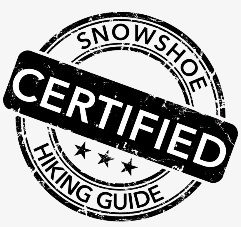 Qualification - Label, transparent png #9913464