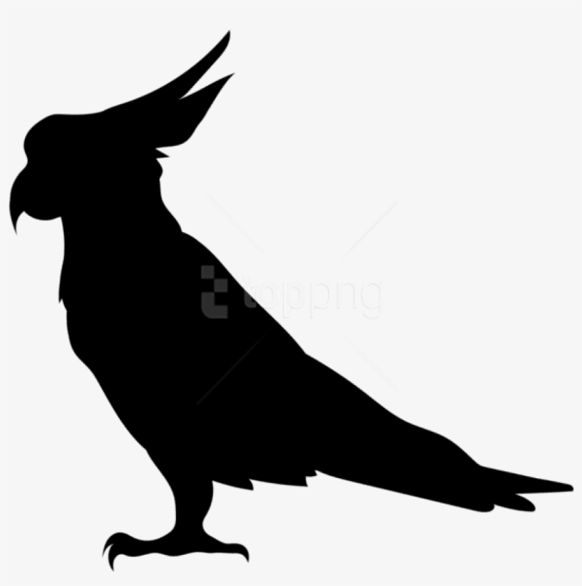 Free Png Parrot Silhouette Png - Parrot Silhouette, transparent png #9914475