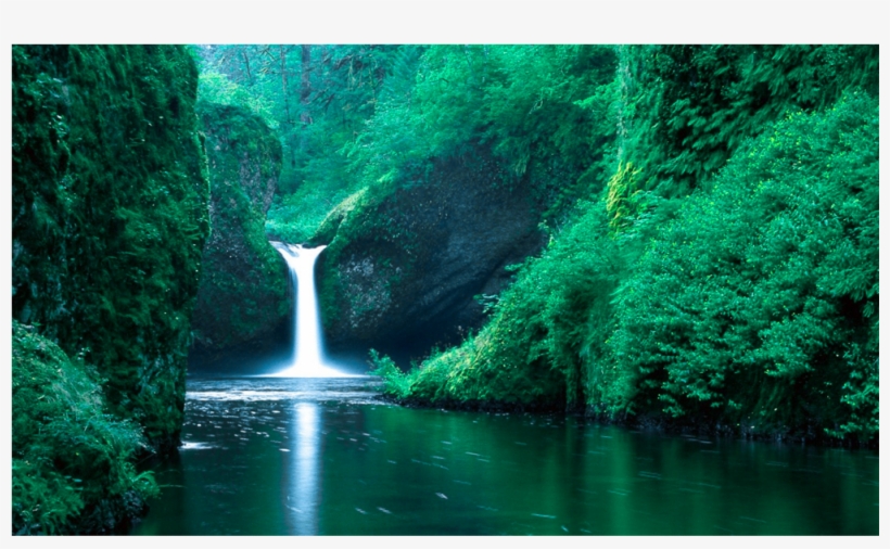 Score 50% - Best Seen, transparent png #9914847