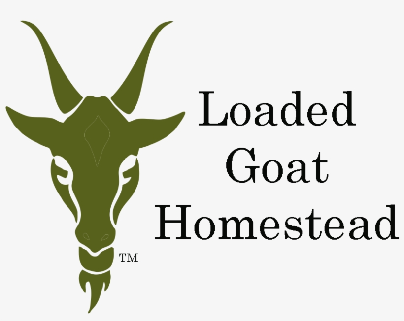 Antelope, transparent png #9915822