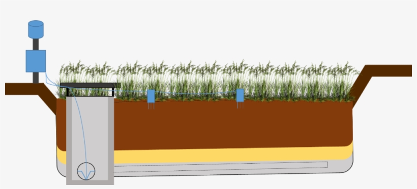 Bioretention - Grass, transparent png #9917002