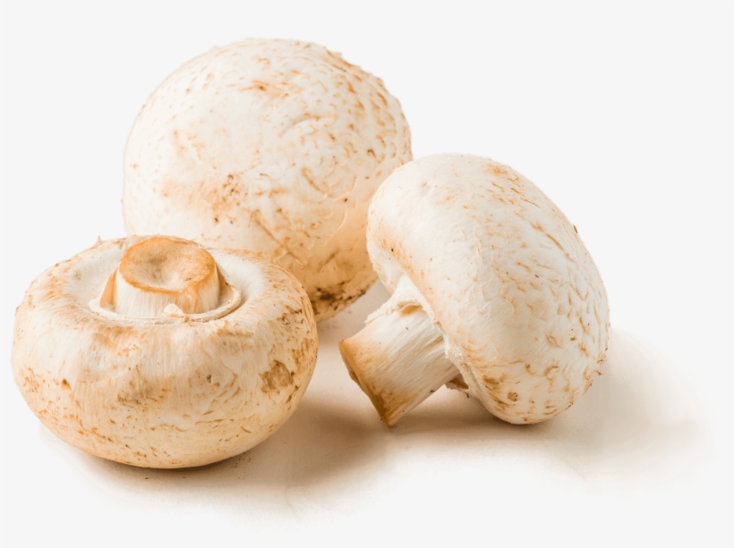 Braised Mushrooms - Champignon Mushroom, transparent png #9917781
