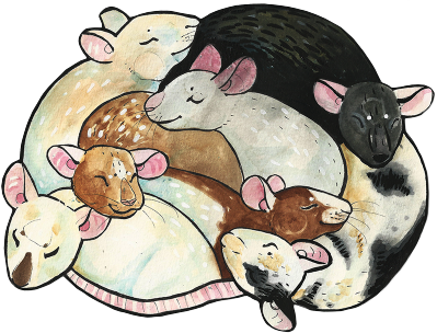 Report Abuse - Cartoon (399x304), Png Download