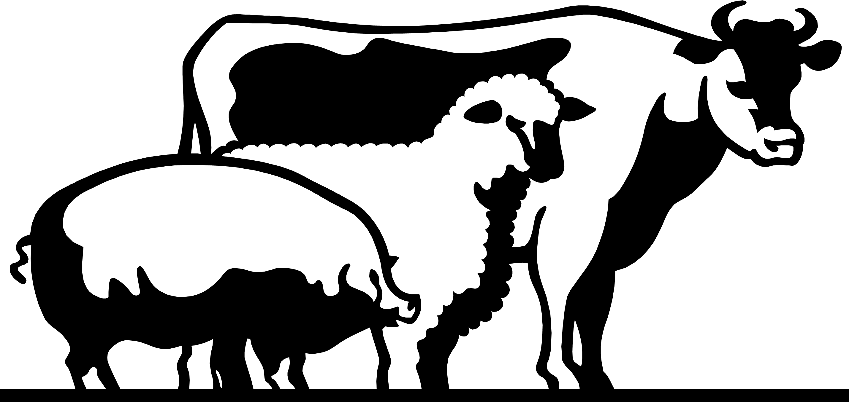 4 H Livestock Of Clipart - Show Livestock Png (2860x1356), Png Download