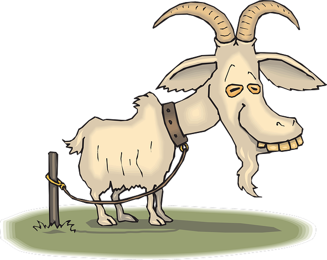 Happy Birthday You Old Goat Greeting Card (600x478), Png Download