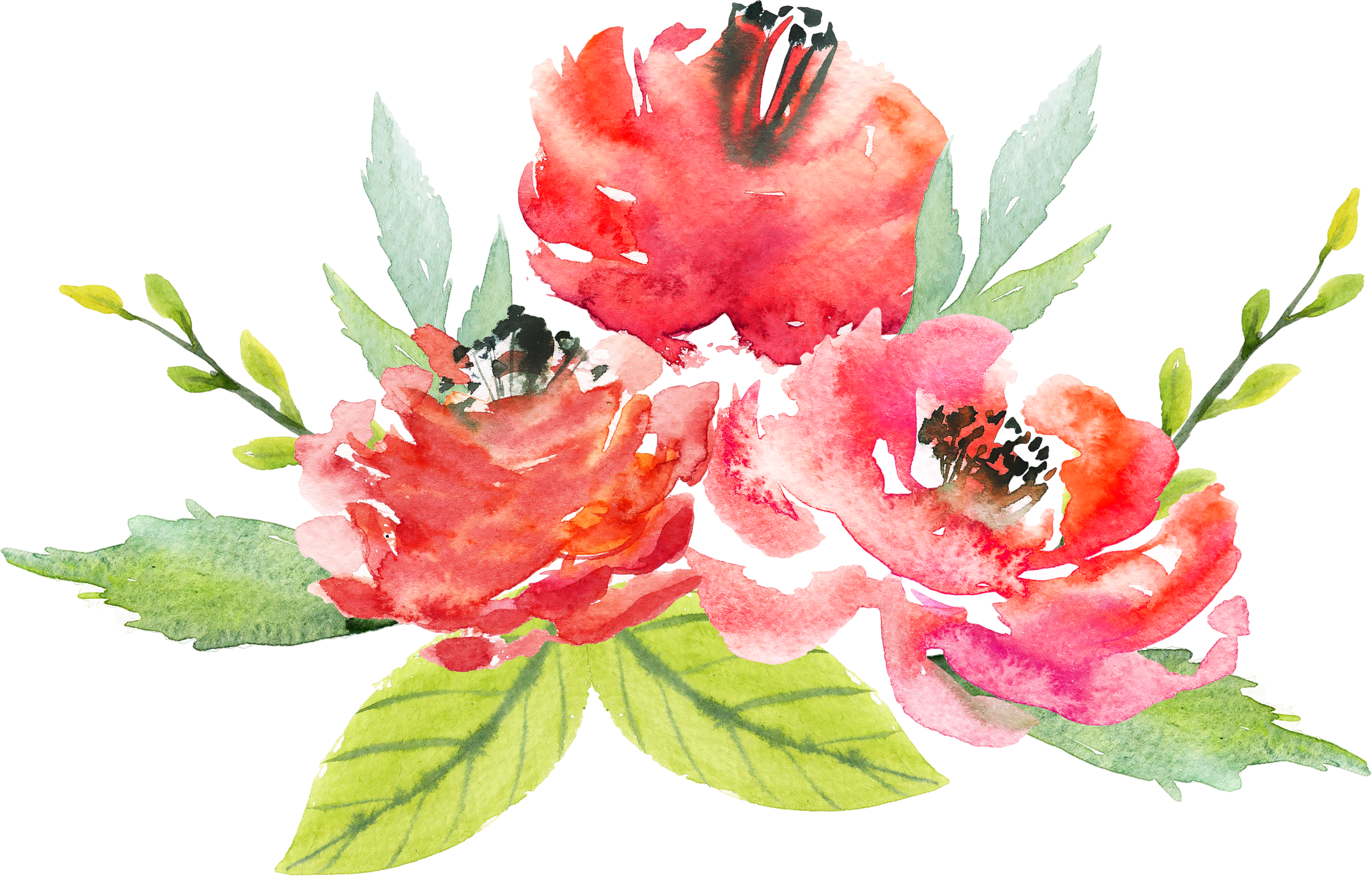 Watercolor Floral Bouquet Png - Watercolor Red Flowers Transparent (2693x1719), Png Download