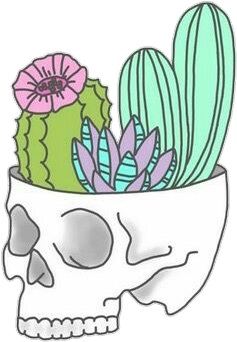 Tumblr Cactus Png - Stickers Tumblr Png Cactus (500x500), Png Download