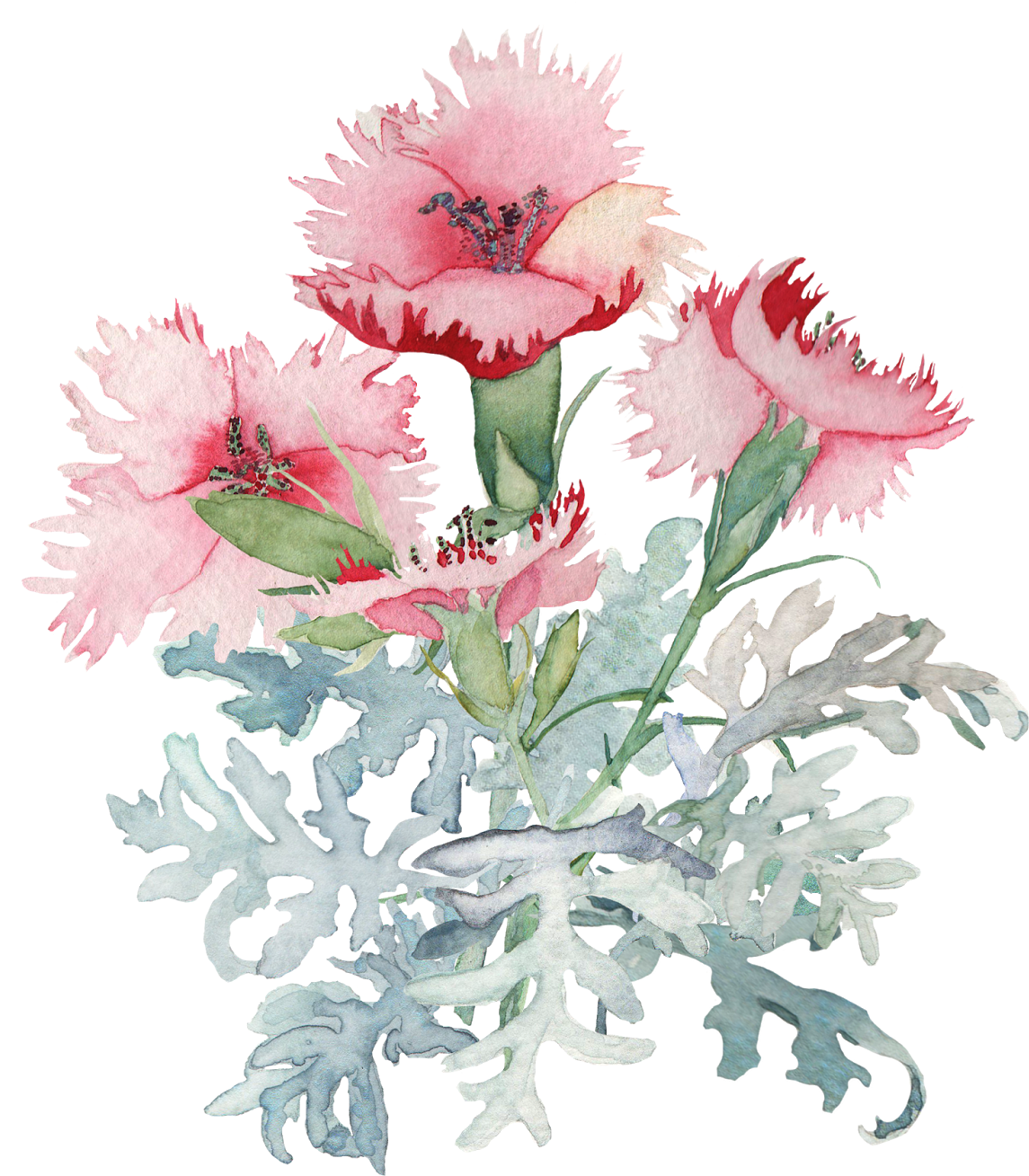 Deep Cove Flowers, Fragrance - Flowers Watercolor Tumblr Png (1280x1388), Png Download