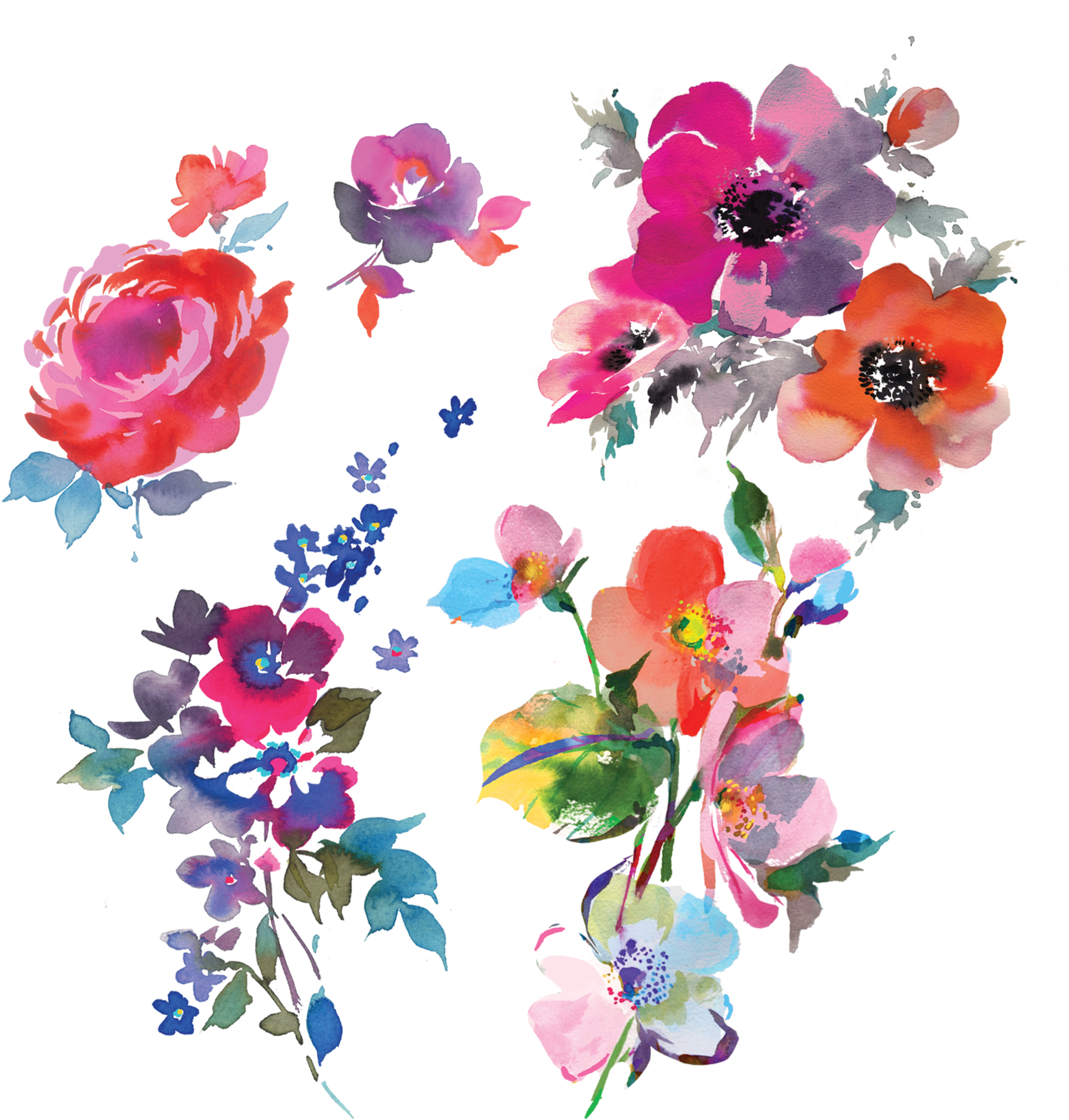 Watercolor Florals Sheet - Floral Watercolor (2048x2048), Png Download