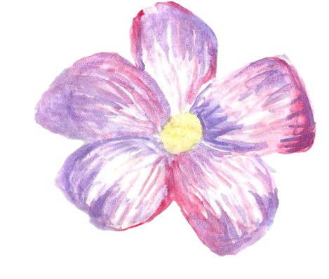 I Don't Know, Vvendys - Png Tumblr Stickers Flowers (500x461), Png Download