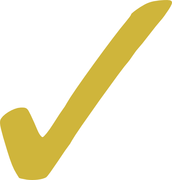 Download Checkmark - Check Mark Icon Gold PNG Image with No Background -  PNGkey.com