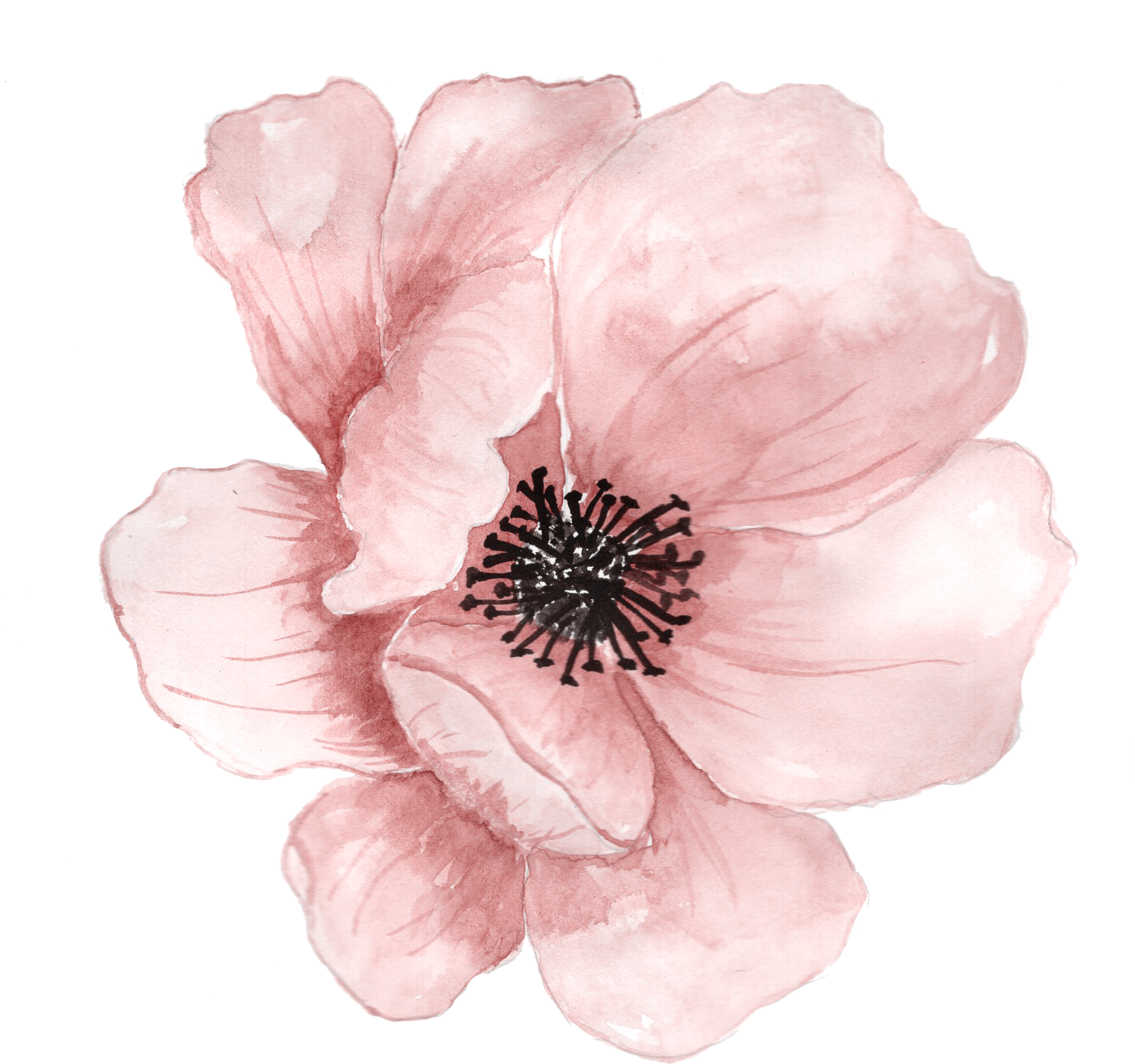 Flower Watercolor Painting Clip Art - Transparent Watercolor Flower Png (1780x1684), Png Download