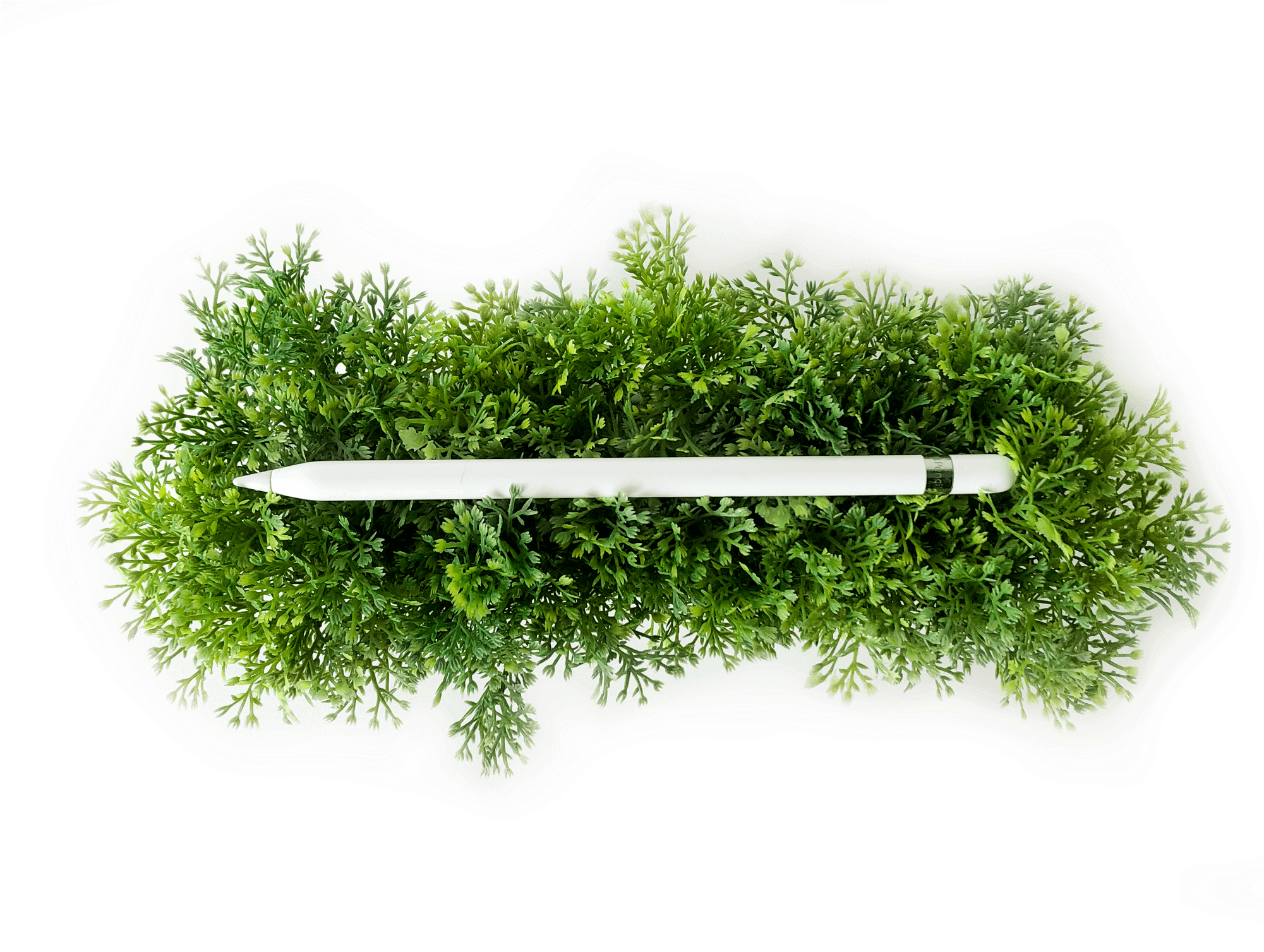 Watercolor Painting (2000x1627), Png Download