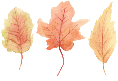 Tumblr Matql6ibym1rh3bmco1 500 - Leaf (500x341), Png Download