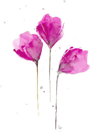 Tudo For Espinho Seja Flor (338x447), Png Download