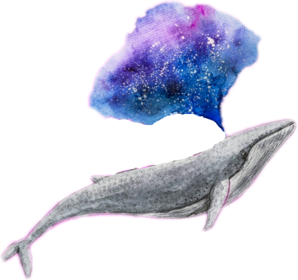 Whale Galaxy Edit Challenge Tumblr - Whale Png (951x894), Png Download