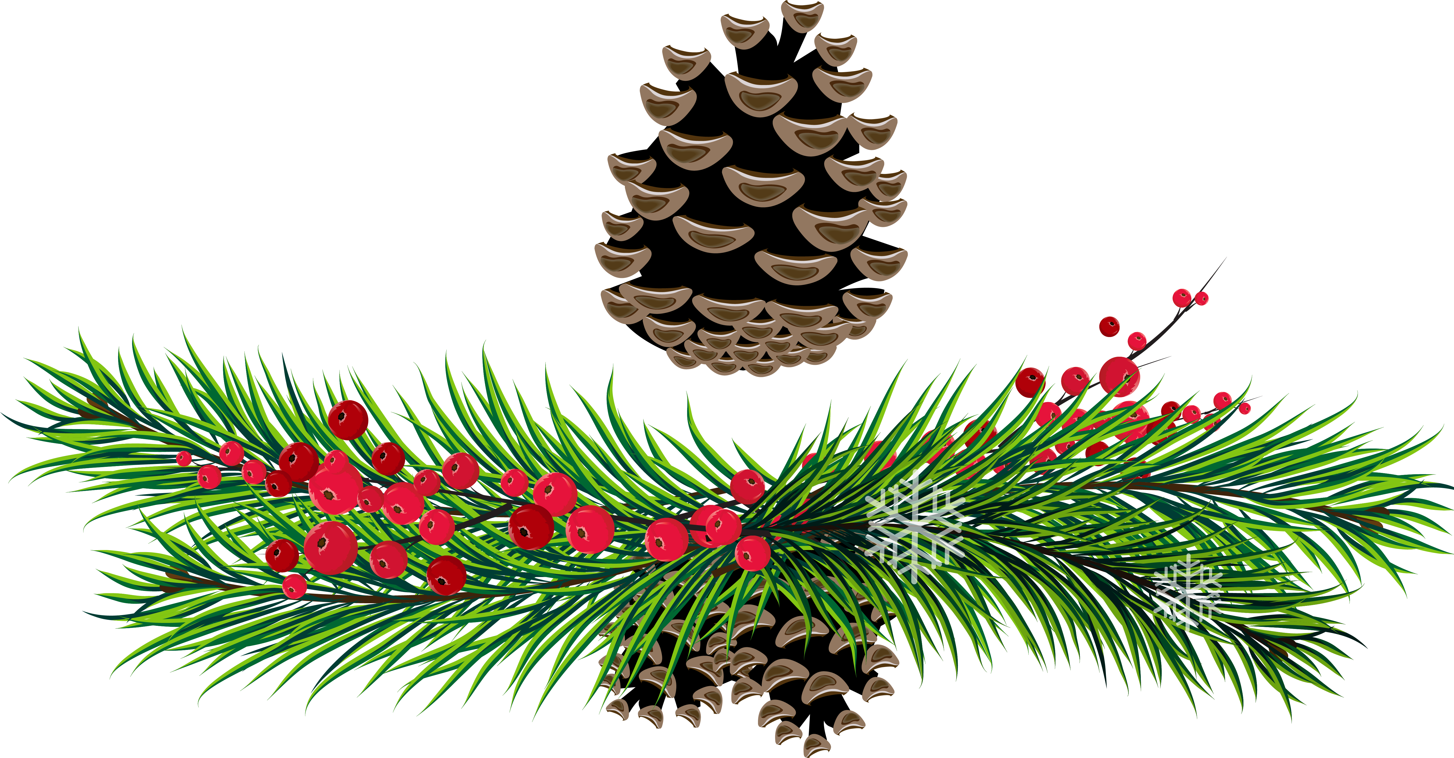 Visit - Pine (5610x2967), Png Download