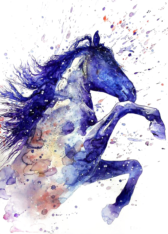 Report Abuse - Horse Watercolour (564x786), Png Download
