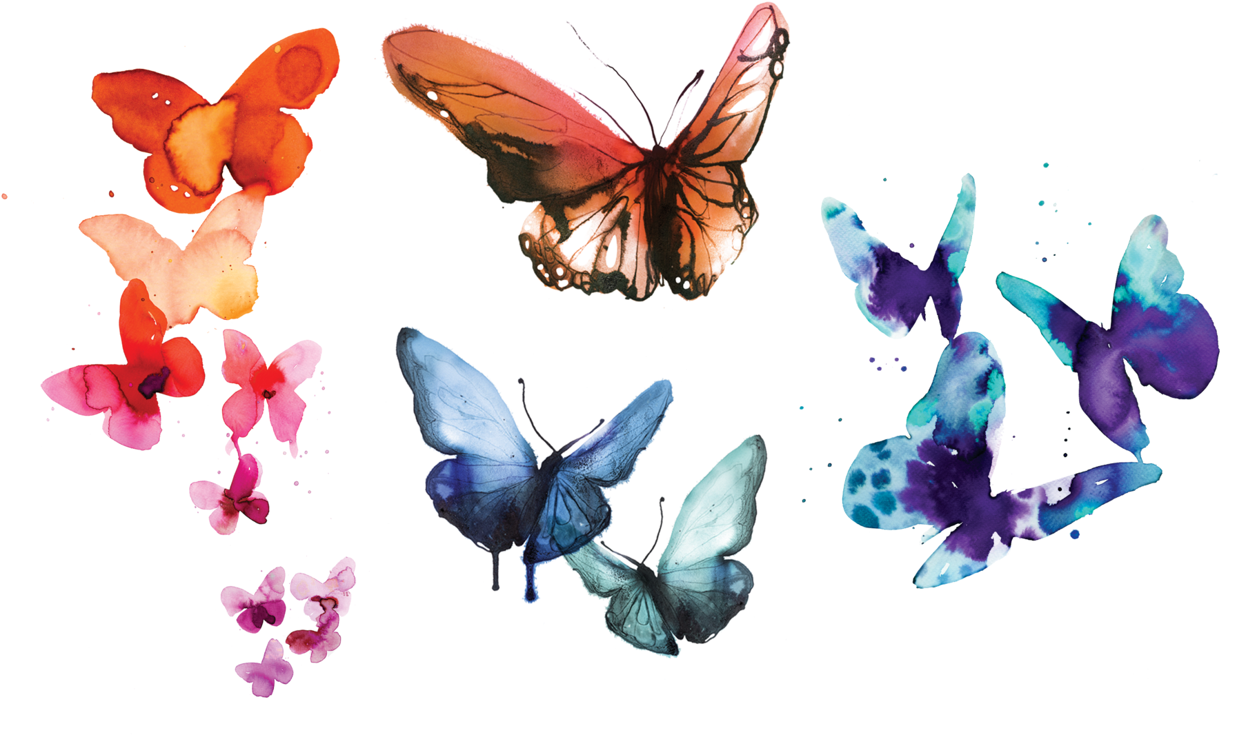 Watercolor Butterflies Set - Tattly Temporary Tattoos, Watercolor Butterflies (2048x2048), Png Download