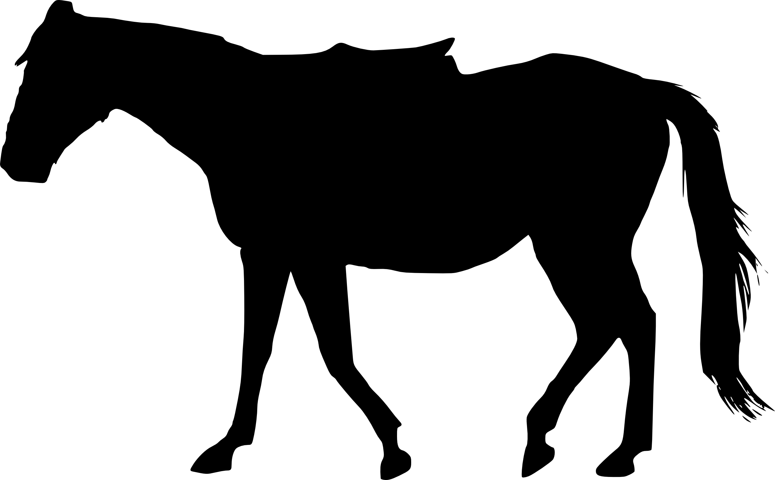 Free Download - Horse Silhouette Transparent Png (2522x1561), Png Download