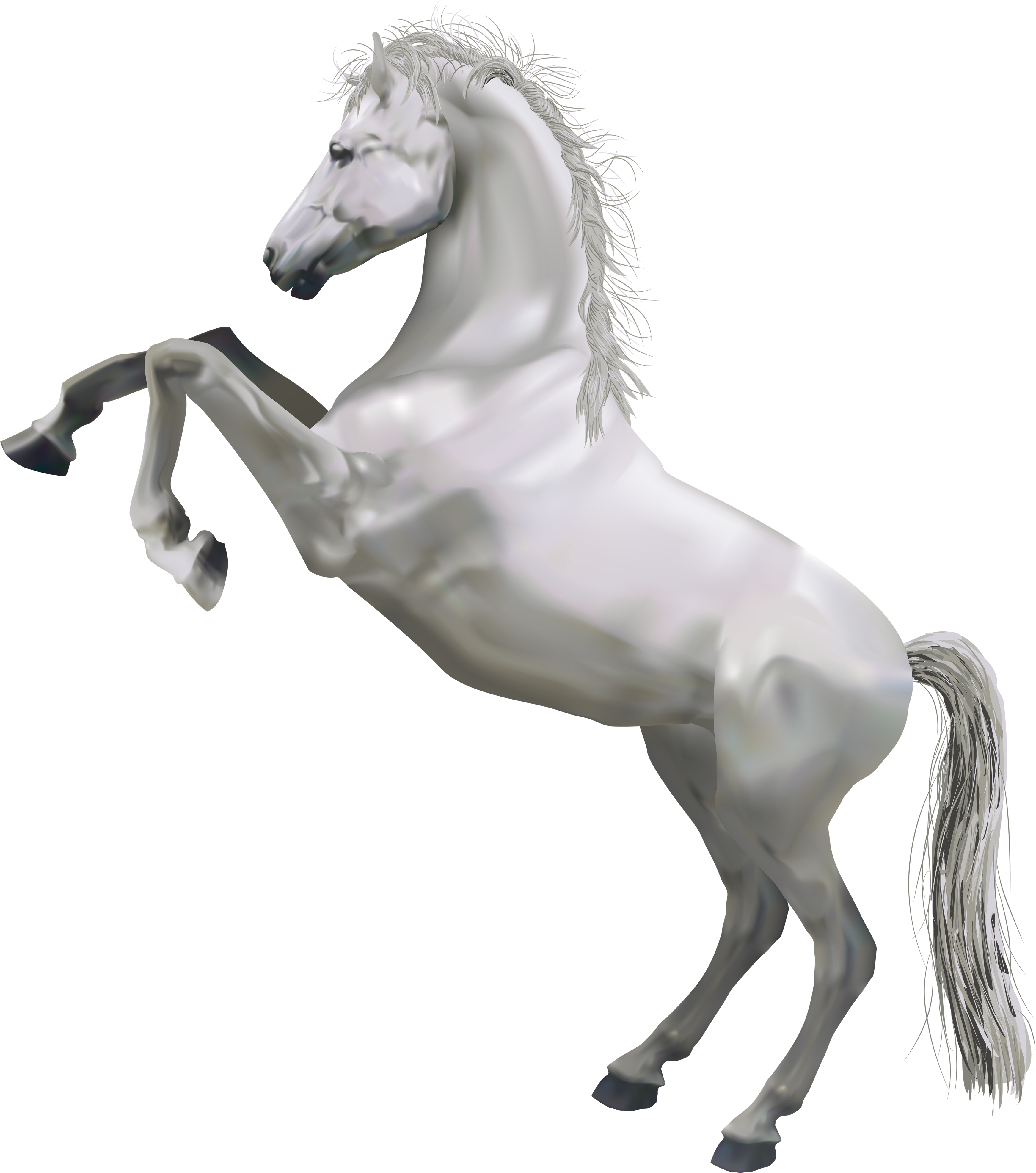 Horse Png (3500x3943), Png Download