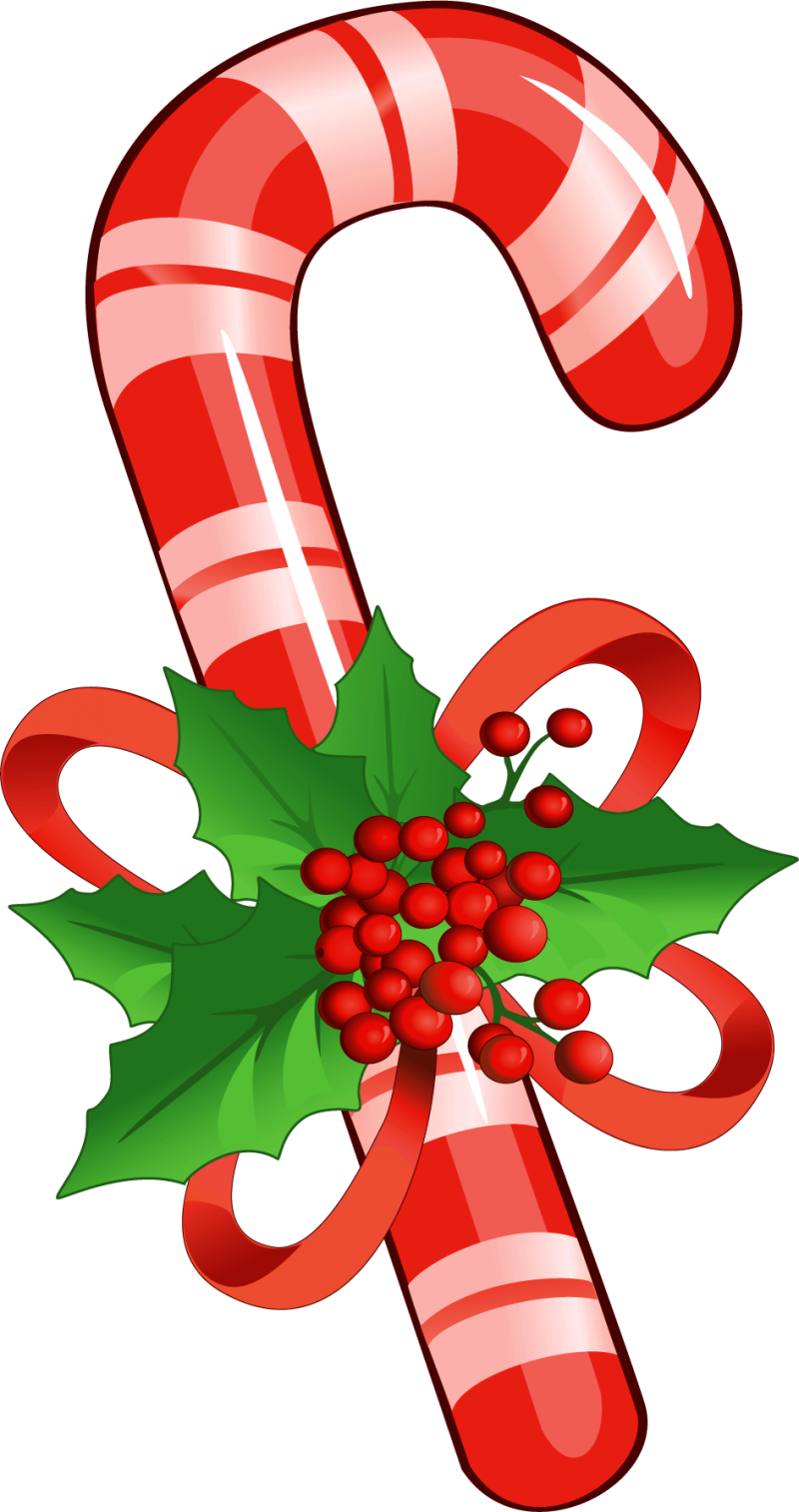 Candy Cane With Mistletoe Png Clipart Yopriceville - Candy Cane Clipart Png (333x630), Png Download