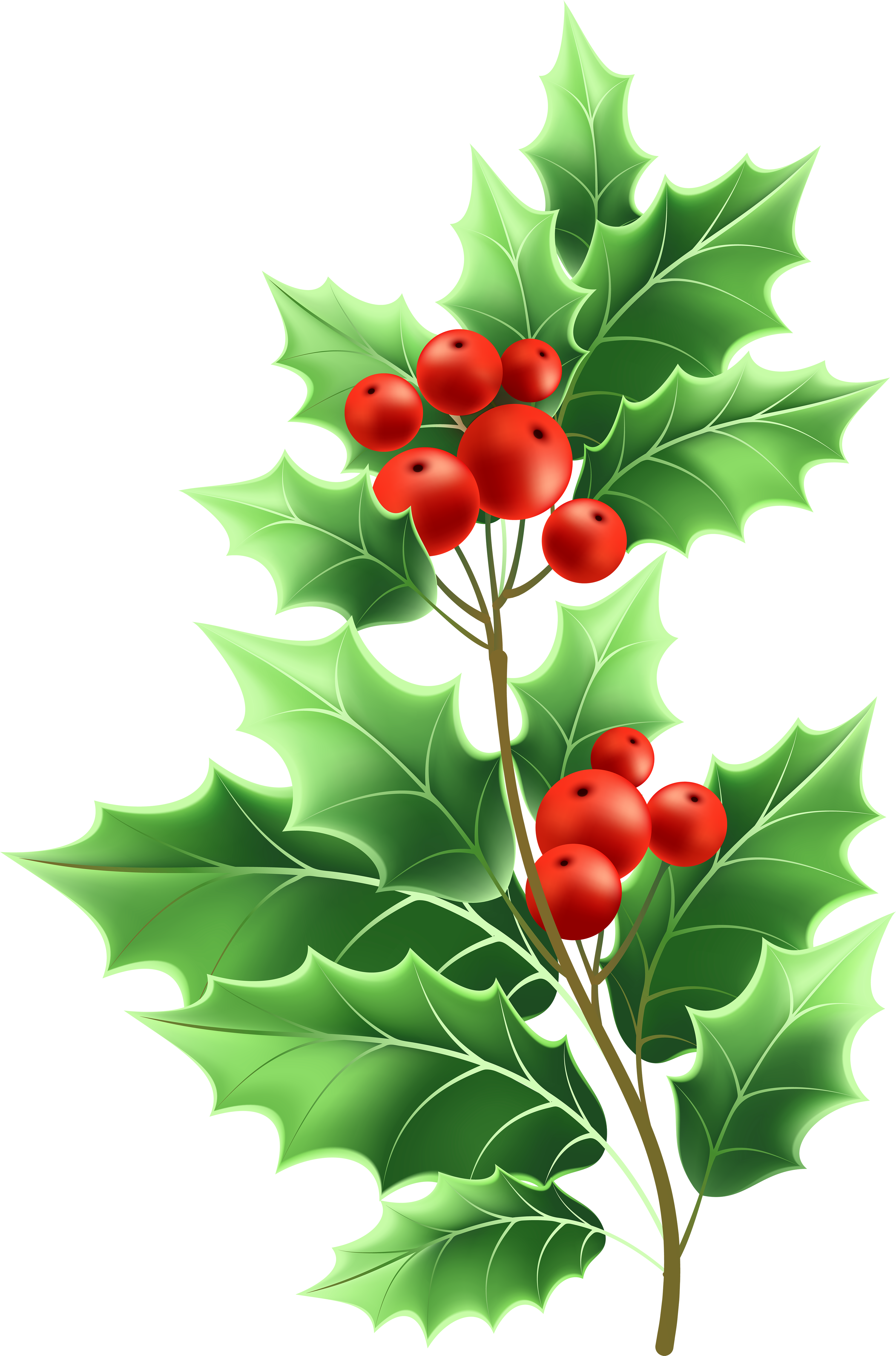 Image Free Stock Christmas Png Clip Art Gallery Yopriceville - Transparent Png Christmas Mistletoe (3964x6000), Png Download
