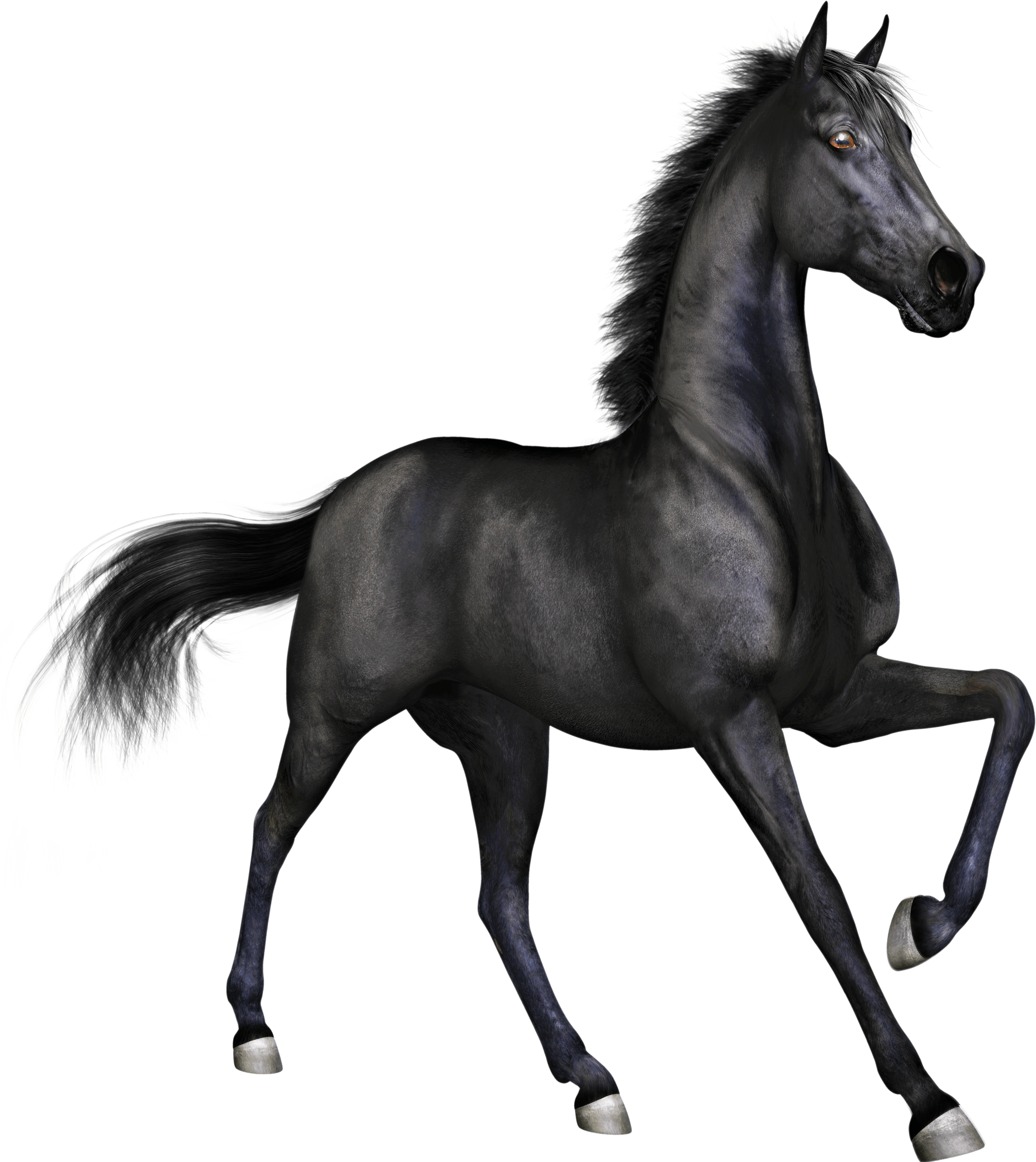 Horse Images Png - Black Horse Png (2223x2495), Png Download