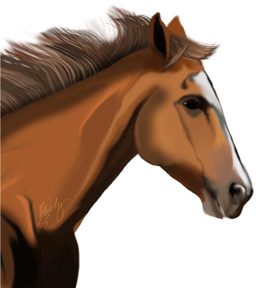 Horse Png - Horse Head Transparent Background (862x926), Png Download
