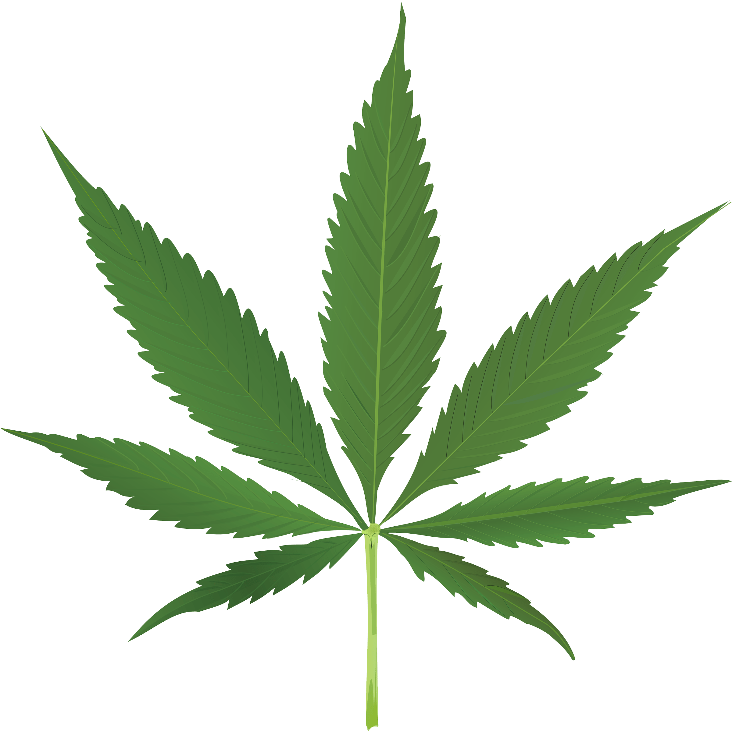 Download - Cannabis Leaf (2600x2600), Png Download