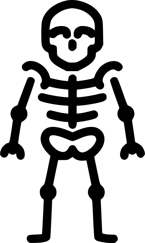 Png File - Skeleton Icon Png (586x980), Png Download