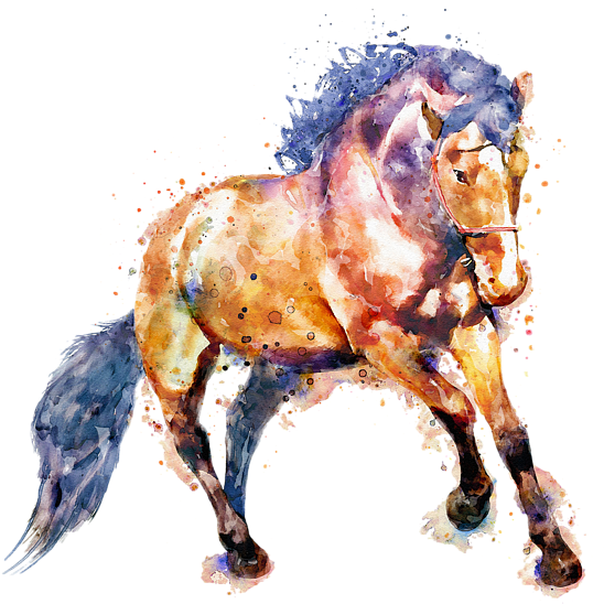 Bleed Area May Not Be Visible - Horse (600x600), Png Download
