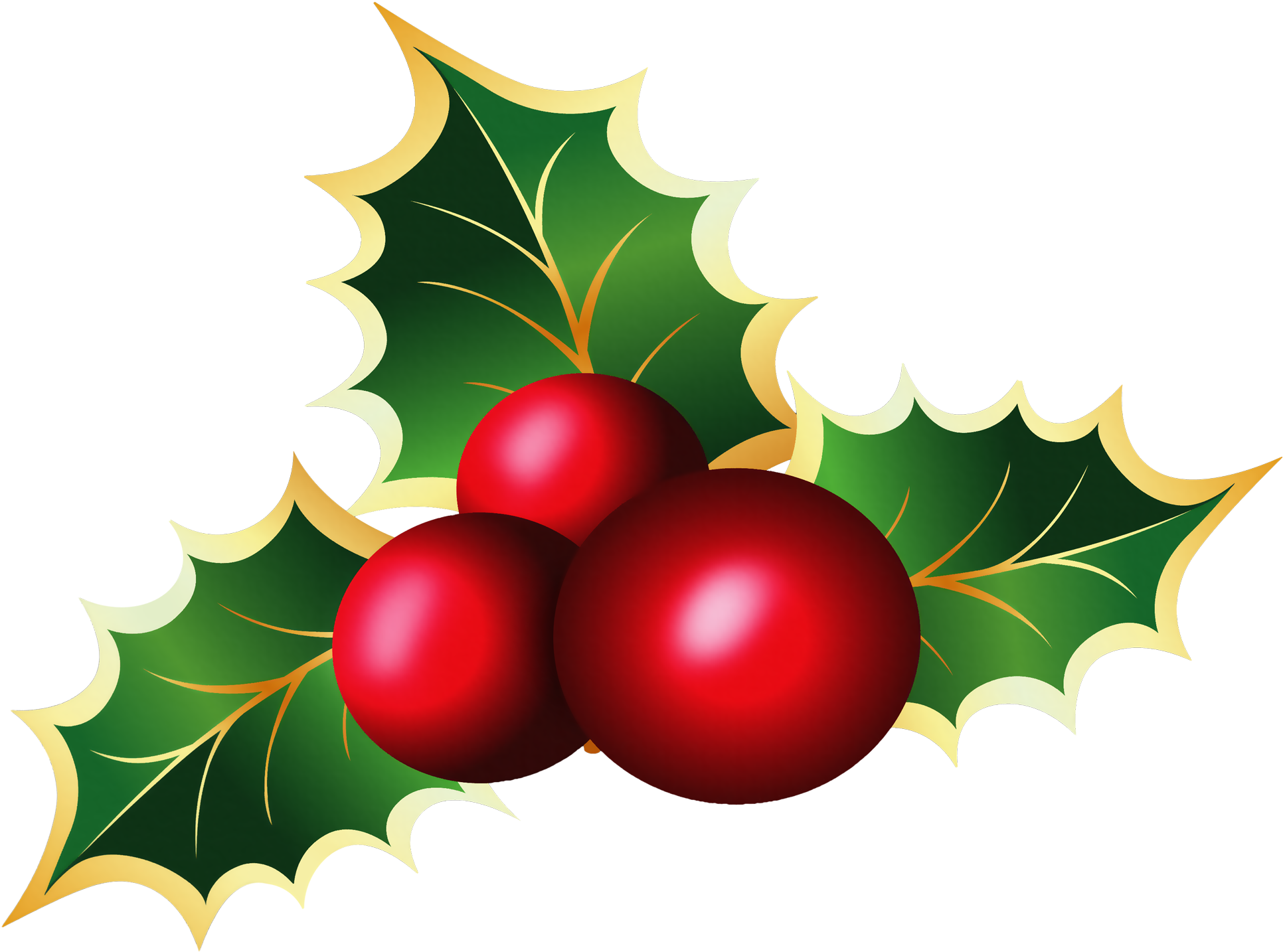 Mistletoe Clipart Transparent (2000x1483), Png Download